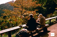 画像をギャラリービューアに読み込む, OLYMPUS 35RC 水色の世界🛁🌐【完動品】【実写済み❗️】通称:リチャード