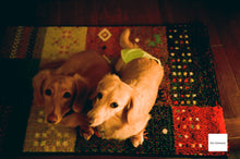 画像をギャラリービューアに読み込む, OLYMPUS 35RC 水色の世界🛁🌐【完動品】【実写済み❗️】通称:リチャード