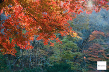 画像をギャラリービューアに読み込む, FUJICA ST605II【完動品】【希少❗️】バブルボケレンズ&タクマーレンズSET❗️