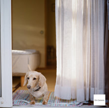 画像をギャラリービューアに読み込む, Minolta AUTOCORD-III ミノルタ オートコードIII型 【完動品】【美品✨】【実写済み❗️】