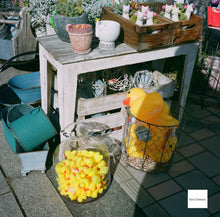 画像をギャラリービューアに読み込む, ROLLEIFLEX Automat【完動品】【実写済み❗️】状態◎ 中判カメラ