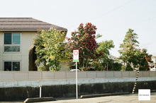 Load image into Gallery viewer, Carl Zeiss Jena Tessar 50mm F2.8【完動品】【実写済み❗️】M42(スクリューマウント)PENTAX SP,SL,SV系やFUJICA ST901,801,701,605などに❗️