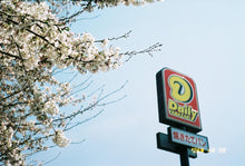 画像をギャラリービューアに読み込む, Canon Autoboy Juno【完動品】全自動フィルムカメラ🎞️寄れる📸初心者OK✨軽量コンパクト