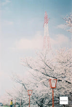 Load image into Gallery viewer, Welta Belmira Carl Zeiss Jena Tessar 50/2.8【完動品】【実写済み❗️】【希少✨】