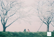 Load image into Gallery viewer, Welta Belmira Carl Zeiss Jena Tessar 50/2.8【完動品】【実写済み❗️】【希少✨】