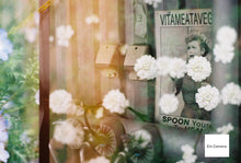 Load image into Gallery viewer, CONTAX Aria & Planar50mmF1.4MMJ【完動品】【実写済み❗️】