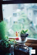 Load image into Gallery viewer, Canon Canonet QL19 シルバー【完動品/実写済み✨】F1.9大口径📸レンジファインダーフィルムカメラ