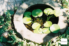 画像をギャラリービューアに読み込む, Argus C33 最終型【超希少❗️ 完動品】実写済み✨アメリカのレンジファインダーカメラ🇺🇸🗽