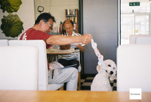 画像をギャラリービューアに読み込む, Argus C33 最終型【超希少❗️ 完動品】実写済み✨アメリカのレンジファインダーカメラ🇺🇸🗽