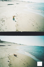 画像をギャラリービューアに読み込む, Minolta Repo(SV)【完動品】【レア✨】状態◎ ハーフカメラ