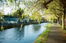 画像をギャラリービューアに読み込む, CANDIDO.800 35mmカラーネガフィルム 24枚撮り 【海外フィルム✈️】