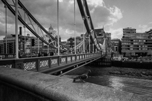 画像をギャラリービューアに読み込む, KIKI PAN320 35mmモノクロフィルム 36枚撮り【海外フィルム✈️】1本売り