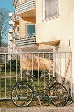 画像をギャラリービューアに読み込む, SantaColor サンタカラー100D (35mmフィルム) カラーネガフィルム 36枚撮り【期限内/海外フィルム✈️】