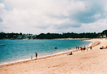 画像をギャラリービューアに読み込む, PHOENIX200 カラーネガフィルム 36枚撮り 【海外フィルム✈️/期限内】1本売り