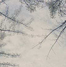 画像をギャラリービューアに読み込む, 麓 FuMoTo Film400 (35mmフィルム) カラーネガフィルム 24枚撮り【期限内】