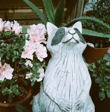 画像をギャラリービューアに読み込む, YASHICA ▪️Sapphire70s ▪️Ruby60s ▪️MONO400 1本バラ売り (35mmフィルム) カラーネガフィルム 24枚撮り【期限内】