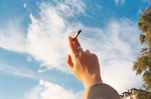 画像をギャラリービューアに読み込む, Nikon Zoom500 AF【動作品】全自動コンパクトフィルムカメラ/訳あり