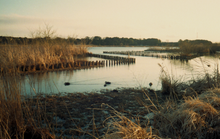 画像をギャラリービューアに読み込む, KONICA C35FD【完動品】【希少ブラックボディ🐦⬛】明るいレンズ・レトロカメラ