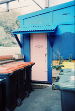 画像をギャラリービューアに読み込む, ILFORD ILFOCOLOR400PLUS(35mmフィルム) カラーネガフィルム 36枚撮り【海外フィルム✈️/期限内】