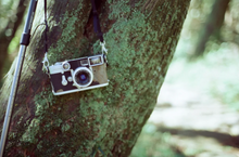 画像をギャラリービューアに読み込む, VIBE100/400/800 (35mmフィルム) カラーネガフィルム 27枚撮り【海外フィルム✈️/期限内】