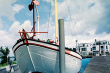 画像をギャラリービューアに読み込む, ORWO WOLFEN NC400/NC500(35mmフィルム) カラーネガフィルム 36枚撮り【海外フィルム✈️/期限内】