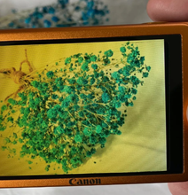 画像をギャラリービューアに読み込む, Canon IXY 210F【完動品】【美品❗️】▪️オールドコンデジ▪️デジタルカメラ