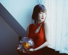 画像をギャラリービューアに読み込む, A Girl Has Film Antarctica 200Tカラーネガフィルム 36枚撮り 【期限内/海外フィルム✈️】1本売り