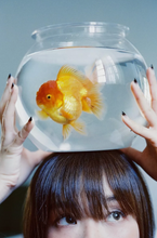 画像をギャラリービューアに読み込む, A Girl Has Film Antarctica 200Tカラーネガフィルム 36枚撮り 【期限内/海外フィルム✈️】1本売り