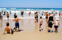 画像をギャラリービューアに読み込む, MARIX 100D(35mmフィルム)ポジ・リバーサルフィルム 36枚撮り【期限内】