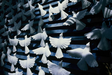 画像をギャラリービューアに読み込む, REFLX LAB 100R (35mmフィルム)ポジ・リバーサルフィルム 36枚撮り【期限内】