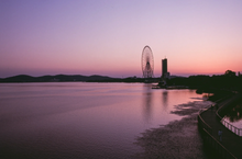 画像をギャラリービューアに読み込む, REFLX LAB 100R (35mmフィルム)ポジ・リバーサルフィルム 36枚撮り【期限内】