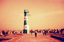 画像をギャラリービューアに読み込む, カラーネガフィルム 36枚撮り 【期限内/海外フィルム✈️】1本売り