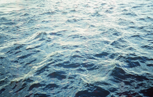 画像をギャラリービューアに読み込む, 【完動品・珍しいシルバー】RICOH FF-3 AF SUPER|35mmコンパクトフィルムカメラ