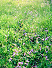 画像をギャラリービューアに読み込む, 📸 HANIMEX compact A|おしゃれ&軽量なコンパクトカメラ✨完動品・希少モデル