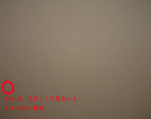 Load image into Gallery viewer, 📸 FUJIFILM FinePix 1500 【✨希少なコレクターズアイテム📼 】乾電池式🔋 美品❗️・専用カードリーダー付き💡オールドコンデジ