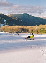 Load image into Gallery viewer, 【完動品】MINOLTA Repo-S|描写力抜群のレアなハーフカメラ📸✨チョコレートブラウン🍫