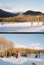 Load image into Gallery viewer, 【完動品】MINOLTA Repo-S|描写力抜群のレアなハーフカメラ📸✨チョコレートブラウン🍫