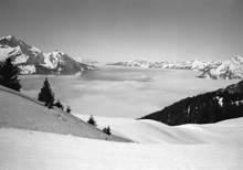 画像をギャラリービューアに読み込む, ADOX・アドックス HR50 (35mmフィルム) モノクロネガフィルム 36枚撮り【海外フィルム✈️/期限内】 1本売り