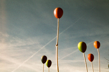 画像をギャラリービューアに読み込む, harman/kardon PHOENIX II 200 カラーネガフィルム 36枚撮り 【期限内/海外フィルム✈️】1本売り