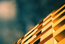 画像をギャラリービューアに読み込む, harman/kardon PHOENIX II 200 カラーネガフィルム 36枚撮り 【期限内/海外フィルム✈️】1本売り