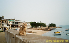 画像をギャラリービューアに読み込む, RETOCOLOR PRISM 200/400 カラーネガフィルム 36枚撮り 【期限内/海外フィルム✈️】1本売り