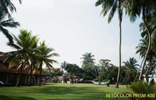 画像をギャラリービューアに読み込む, RETOCOLOR PRISM 200/400 カラーネガフィルム 36枚撮り 【期限内/海外フィルム✈️】1本売り