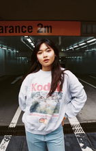 Load image into Gallery viewer, Mr. Negative Same Same But Different 🎞 カラーネガフィルム(ISO400)(35mm / 36枚撮り)【期限内/海外フィルム✈️】1本売り