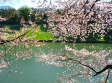 画像をギャラリービューアに読み込む, PENTAX Optio E80|レトロ質感が楽しめるオールドコンデジ📸✨【完動品/美品】