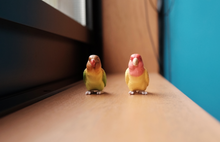 Load image into Gallery viewer, FUJIFILM FinePix JX700 ✨未使用❗️CCDオールドコンデジ📸【完動品】