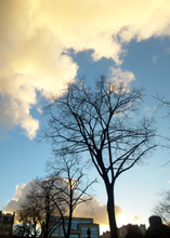 画像をギャラリービューアに読み込む, FUJIFILM FinePix Z2000 希少✨ホワイト🤍オールドコンデジ【完動品/未使用❗️】