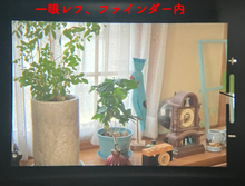 Load image into Gallery viewer, 🎍フィルムカメラ福袋 2026🎍 届いてすぐ使える全部入りセット|選べる2タイプ【1/2限定】