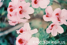 画像をギャラリービューアに読み込む, ILFORD ILFOCOLOR 400 PLUS / VIVID 400|選べる2タイプ✨ 海外カラーネガフィルム 35mm・36枚撮り【期限内】1本売り
