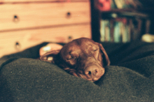 画像をギャラリービューアに読み込む, AGFA COLOR 400|カラーネガフィルム 24枚撮り【期限内✈️海外フィルム】1本売り🎞