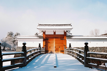 画像をギャラリービューアに読み込む, FILM NEVER DIE DRAGON FLY 100(35mmフィルム)カラーネガ 36枚撮り【期限内✨】1本売り